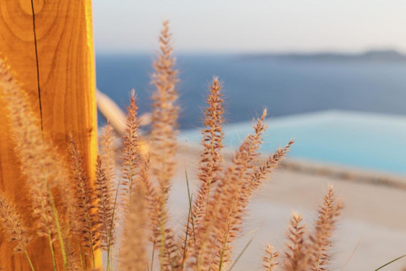 Birdhouse Private Luxury Suite Agios Ioannis Diakoftis Exterior foto